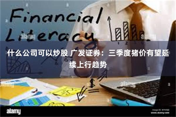 什么公司可以炒股 广发证券：三季度猪价有望延续上行趋势