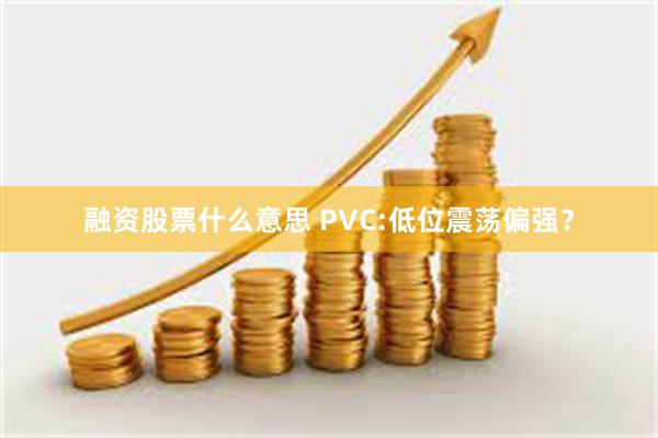 融资股票什么意思 PVC:低位震荡偏强？