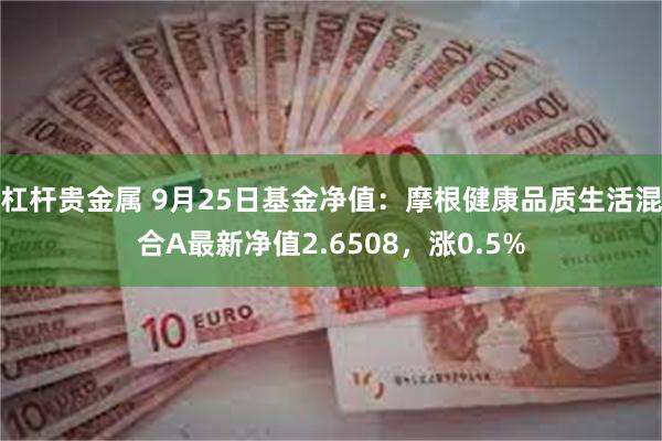 杠杆贵金属 9月25日基金净值：摩根健康品质生活混合A最新净值2.6508，涨0.5%