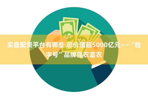 实盘配资平台有哪些 总价值超5000亿元——“桂字号”品牌强农富农