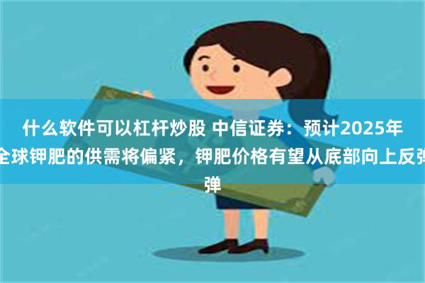 什么软件可以杠杆炒股 中信证券：预计2025年全球钾肥的供需将偏紧，钾肥价格有望从底部向上反弹