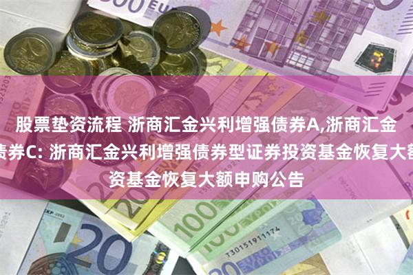 股票垫资流程 浙商汇金兴利增强债券A,浙商汇金兴利增强债券C: 浙商汇金兴利增强债券型证券投资基金恢复大额申购公告