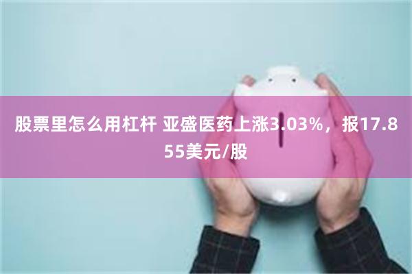 股票里怎么用杠杆 亚盛医药上涨3.03%，报17.855美元/股