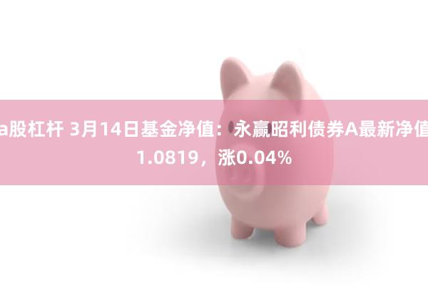 a股杠杆 3月14日基金净值：永赢昭利债券A最新净值1.0819，涨0.04%